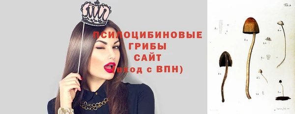 mdpv Баксан
