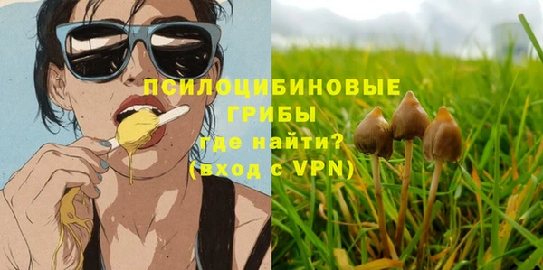 кокаин премиум Белокуриха