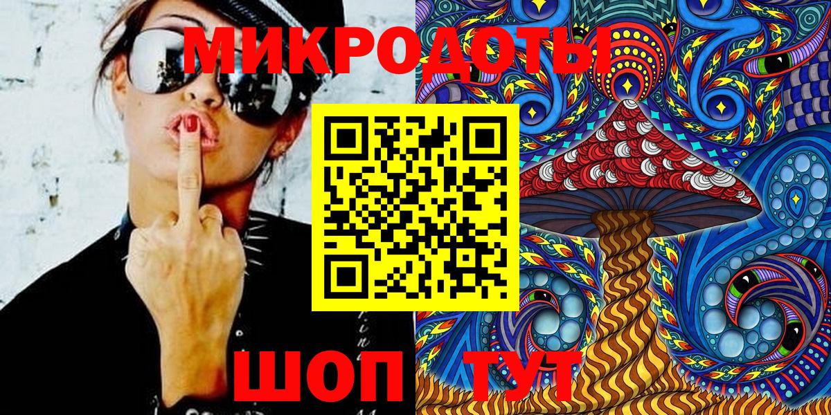 Псилоцибиновые грибы Psilocybe Малоярославец